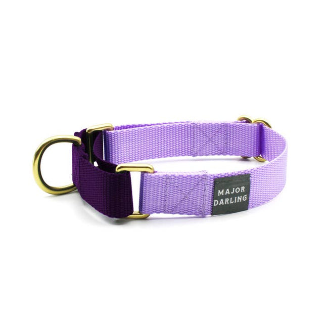 Major Darling Martingale Collar Lilac with Violet