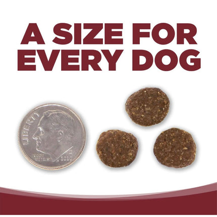 Nutrisource Beef and Rice Recipe Dry Dog Food