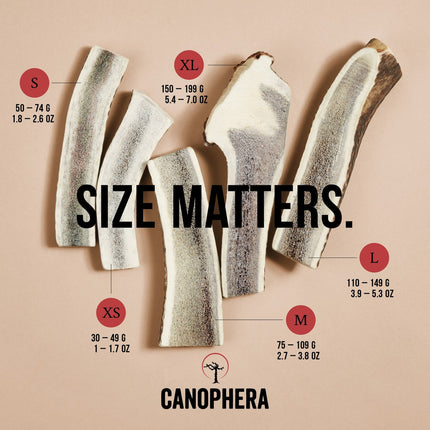 Canophera Red Deer Antler Split