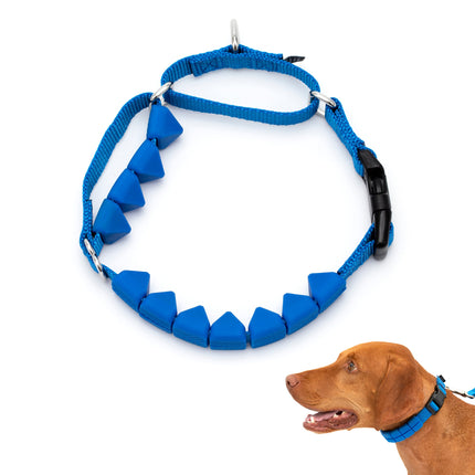 PetSafe Soft Point Training Collar - Blue