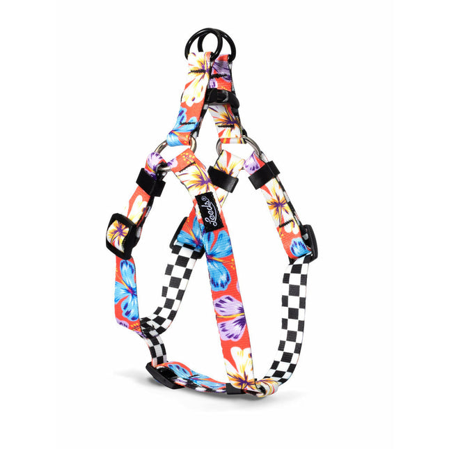 Leeds Dog Harness - Aloha Deux