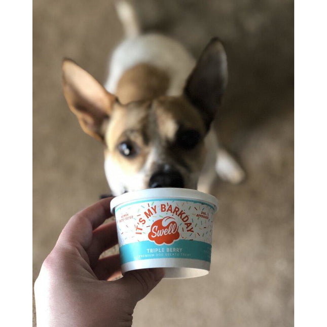 Swell Gelato - Dog "It's my Barkday" Triple Berry 4oz