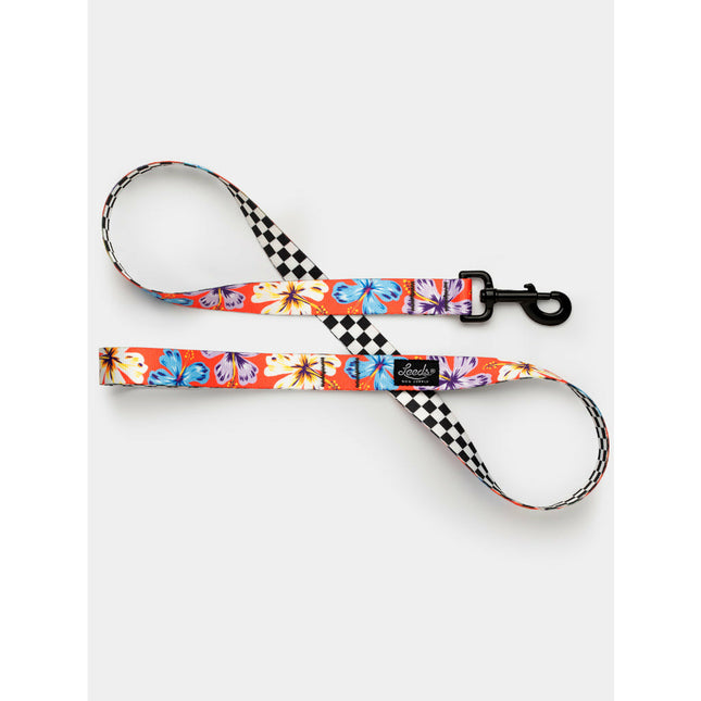 Leeds Dog Leash - Aloha Deux