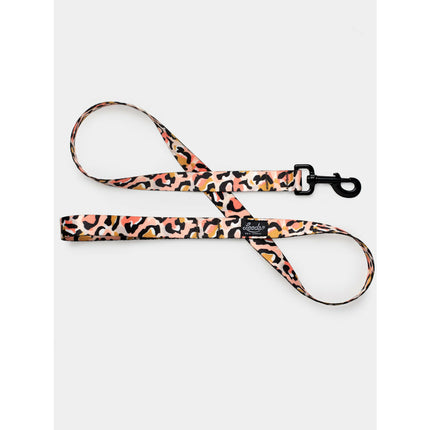 Leeds Dog Leash - Coco