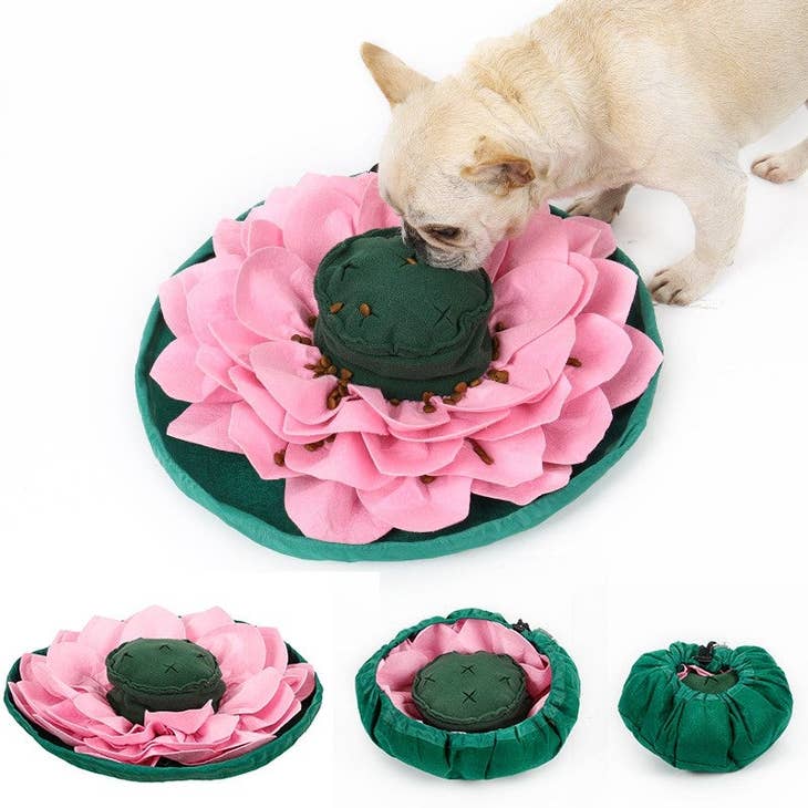 https://www.deckerspets.com/cdn/shop/products/3ef6c835d970018fb1f2fbf103480314c022aa36fd2581cd338e28ec0eba7216_800x.jpg?v=1680131123