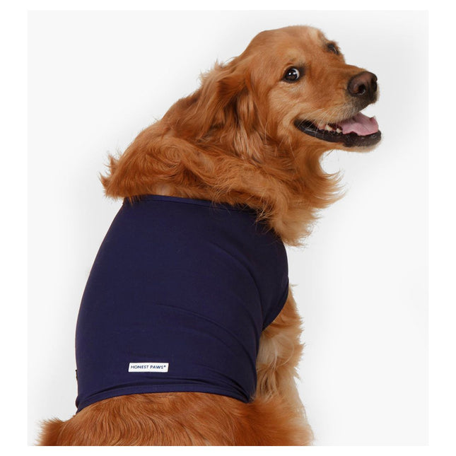 Honest Paws Calm Vest