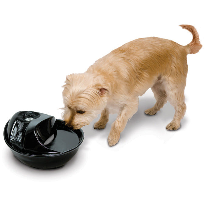 Pioneer pet ceramic outlet fountain