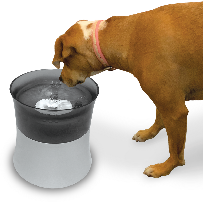 Pioneer Pet 128 oz. Big Max Stainless Steel Drinking Fountain
