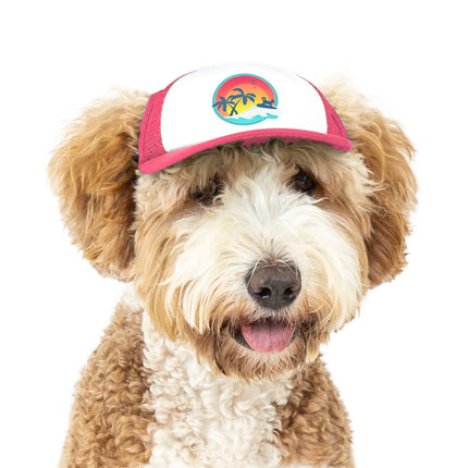 Pup Lid Surfer Dog - Pink SAN DIEGO
