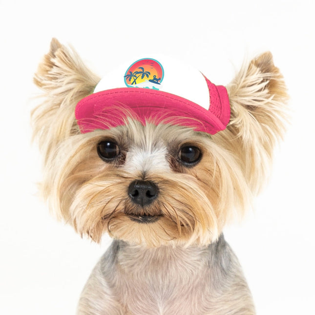 Pup Lid Surfer Dog - Pink SAN DIEGO