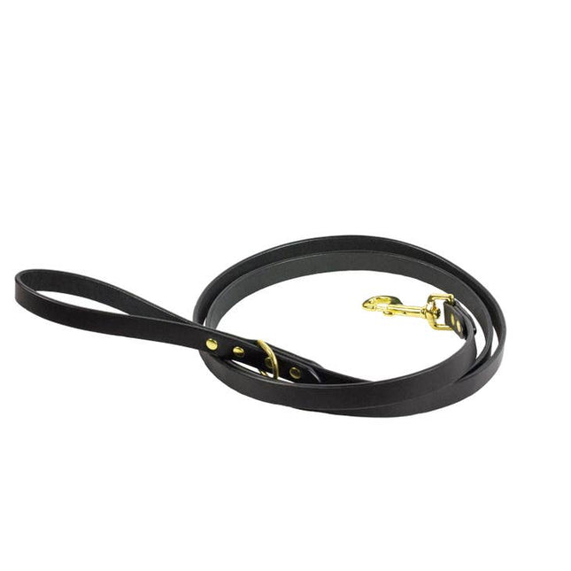 Dante Leash - Black & Brass