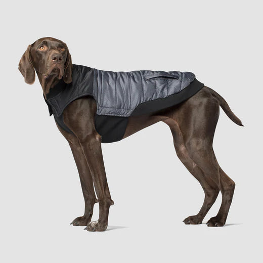 Canada Pooch Summit Stretch Vest Grey