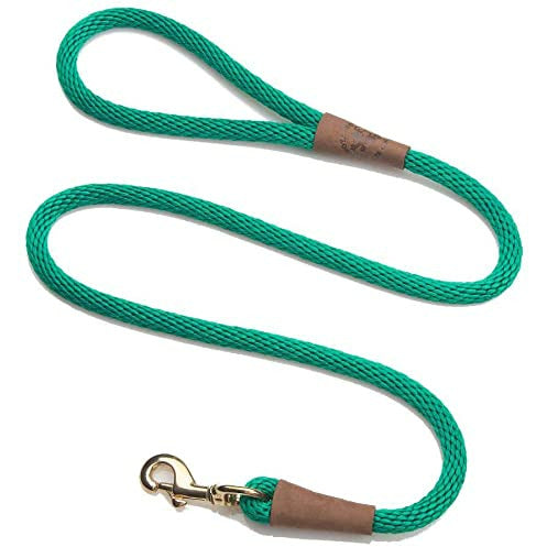 Mendota Snap Leash - Kelly Green