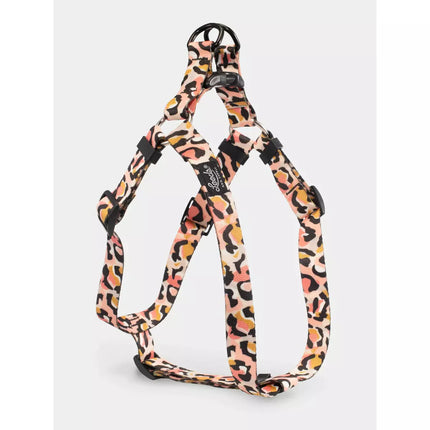 Leeds Dog Harness - Coco