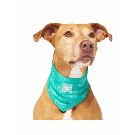 Canada Pooch Cooling Bandana Wet Reveal green