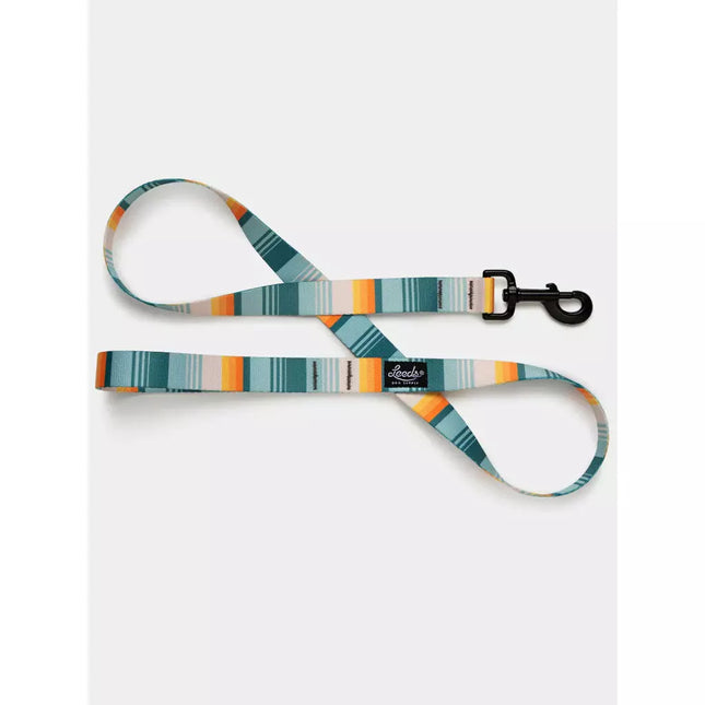 Leeds Dog Leash - Doheny