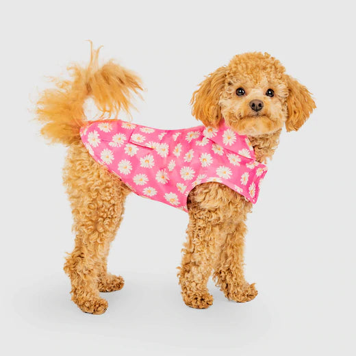 Canada Pooch Pick Me Poncho