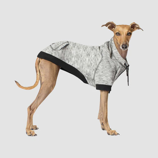 Canada Pooch Grey Hero Hoodie