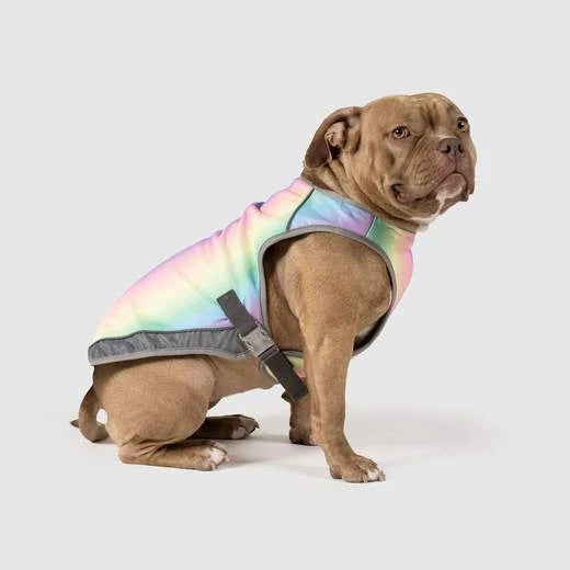 Canada Pooch Cooling Vest Rainbow