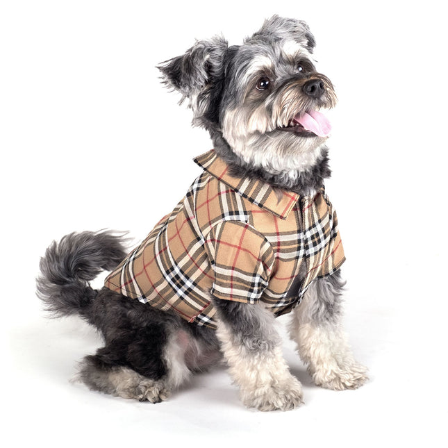 The Worthy Dog Shirt Tan Plaid