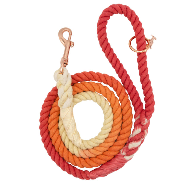 Sassy Woof Rope Leash - Sunrise