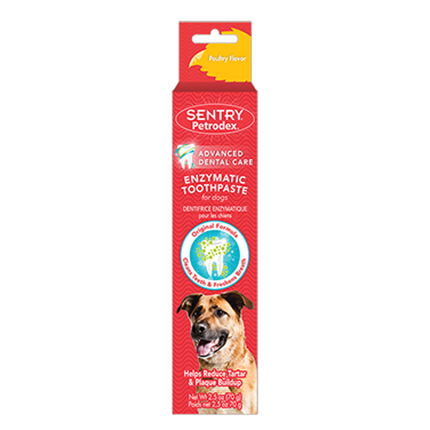 Sentry Pedtrodex Poultry Flavor Toothpaste 2.5oz